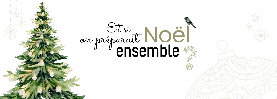 noël à petits prix sur sans-bpa.com